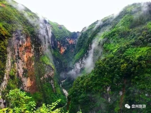爱丽丝和闺蜜